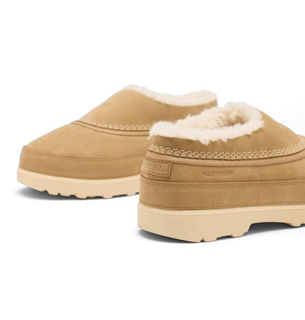 W Ambler Fireside WP - Caribou Buff